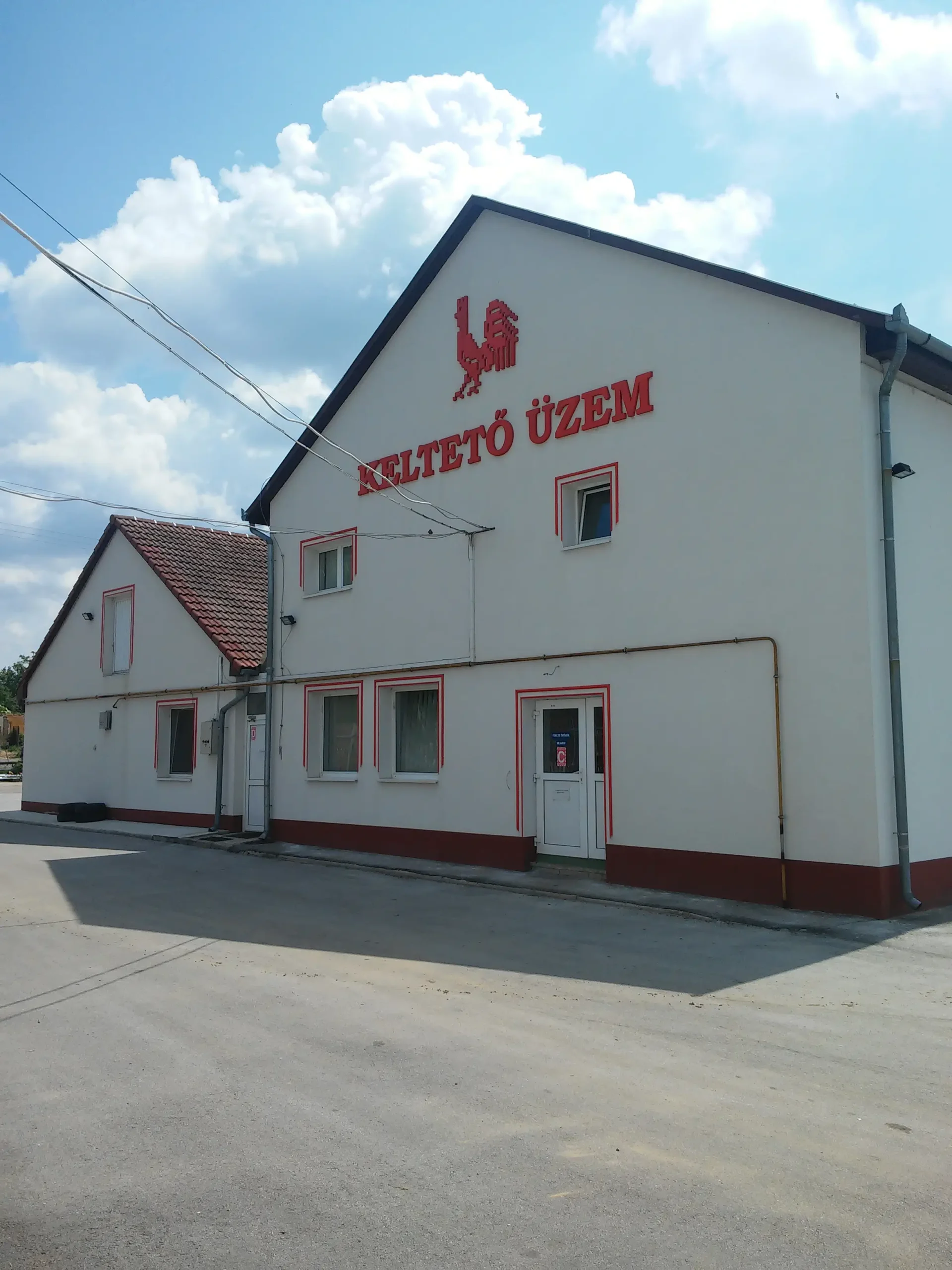Keltető üzem